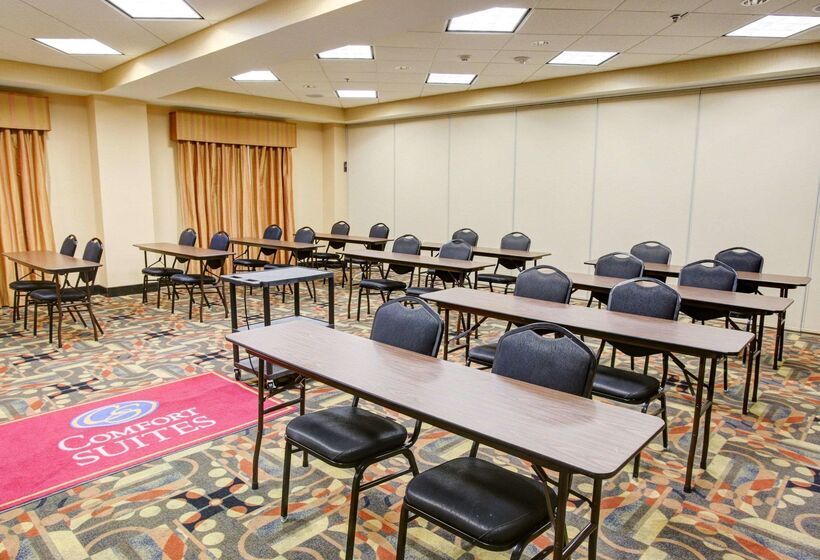 Hotel Comfort Suites Buda   Austin South