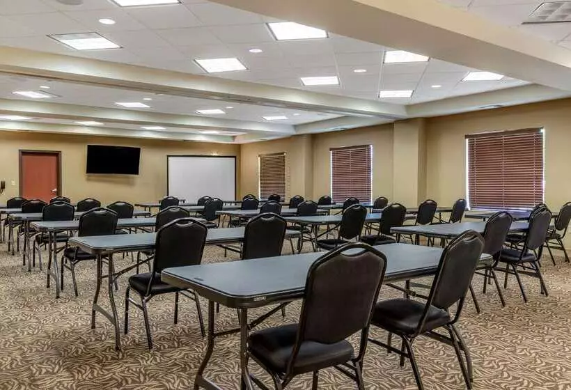 Отель Comfort Suites Buda   Austin South