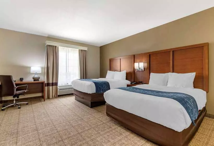 Отель Comfort Suites Buda   Austin South