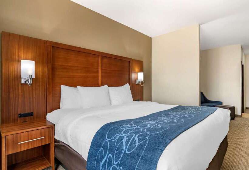 Hotel Comfort Suites Buda   Austin South