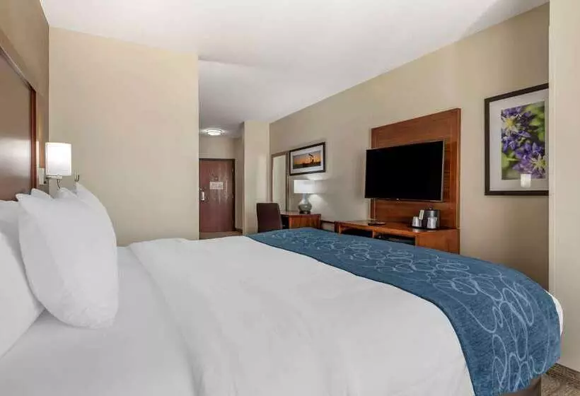 Отель Comfort Suites Buda   Austin South
