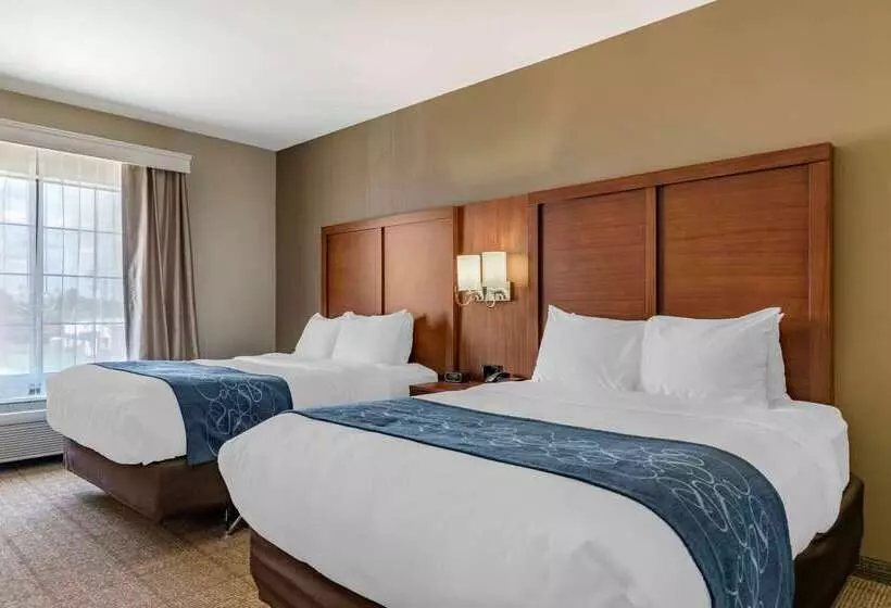 Отель Comfort Suites Buda   Austin South