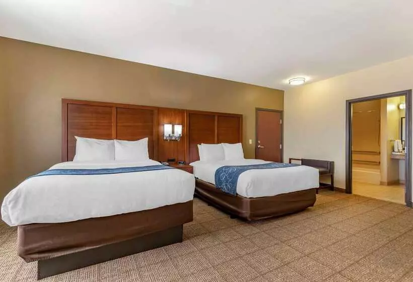 Отель Comfort Suites Buda   Austin South