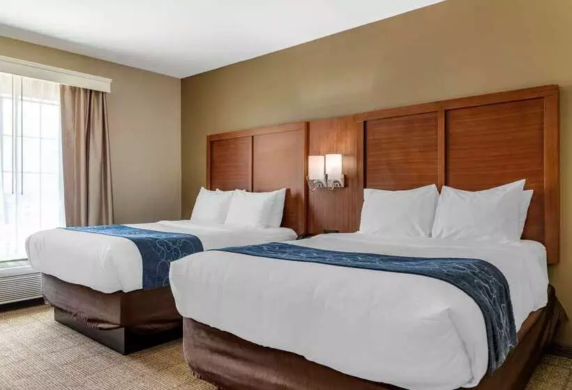 Отель Comfort Suites Buda   Austin South
