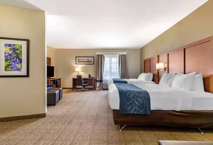 Отель Comfort Suites Buda   Austin South
