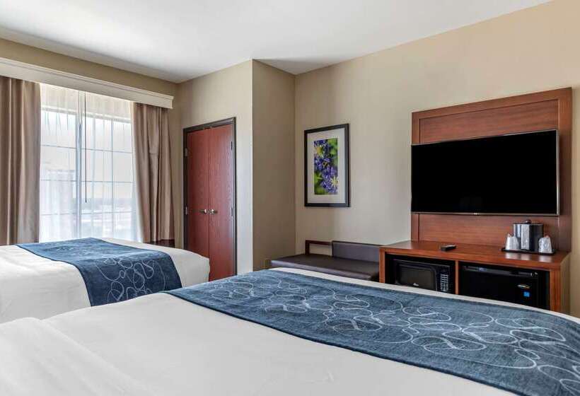Hotel Comfort Suites Buda   Austin South