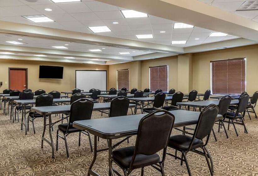 Hotel Comfort Suites Buda   Austin South