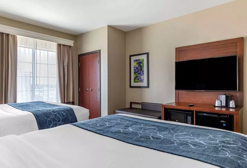 Отель Comfort Suites Buda   Austin South