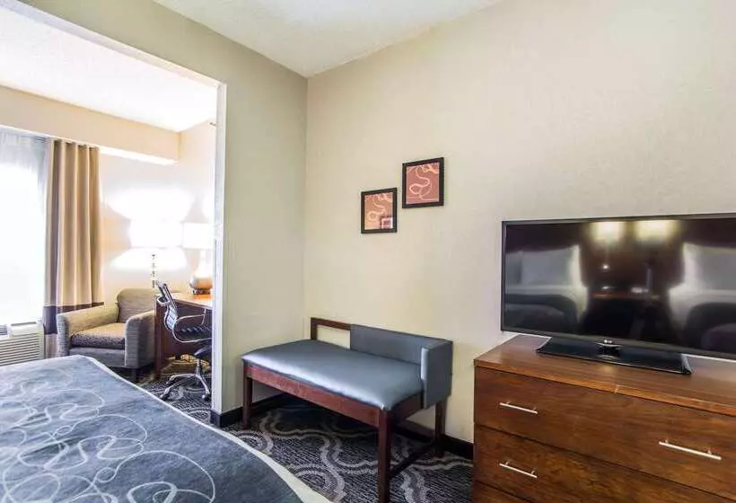 호텔 Comfort Suites Pineville  Ballantyne Area