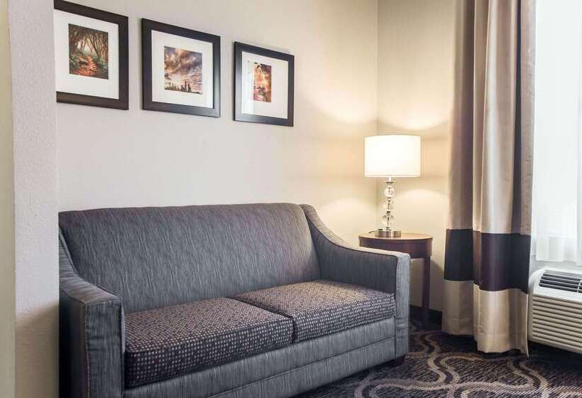 Отель Comfort Suites Pineville Ballantyne Area
