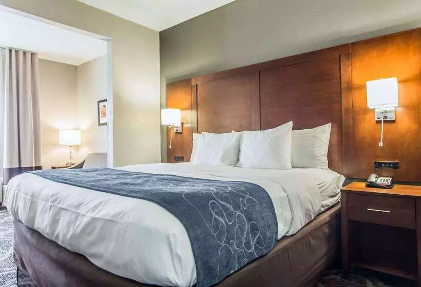 호텔 Comfort Suites Pineville  Ballantyne Area