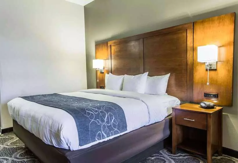 호텔 Comfort Suites Pineville  Ballantyne Area