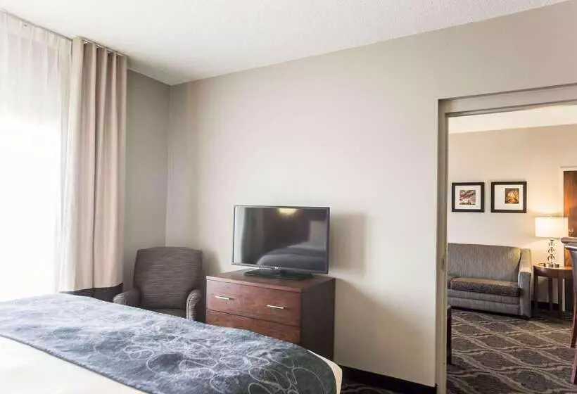 호텔 Comfort Suites Pineville  Ballantyne Area