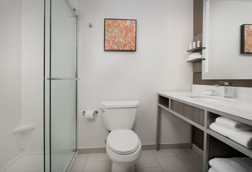 فندق Hilton Garden Inn Columbia Airport