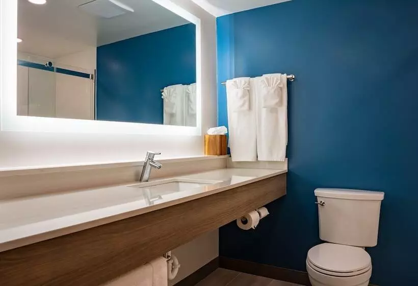 ホテル Holiday Inn Express Carneys Point New Jersey Turnpike Exit 1, An Ihg