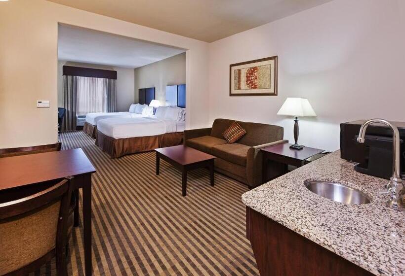 Hotel Holiday Inn Express & Suites Brady, An Ihg