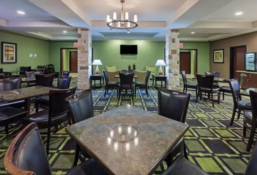 酒店 Holiday Inn Express & Suites Brady, An Ihg