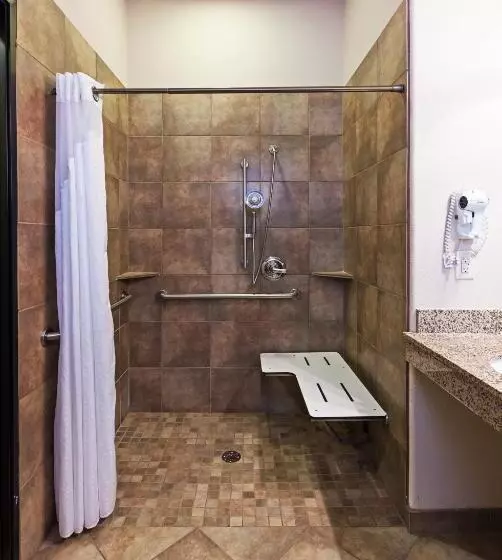 酒店 Holiday Inn Express & Suites Brady, An Ihg