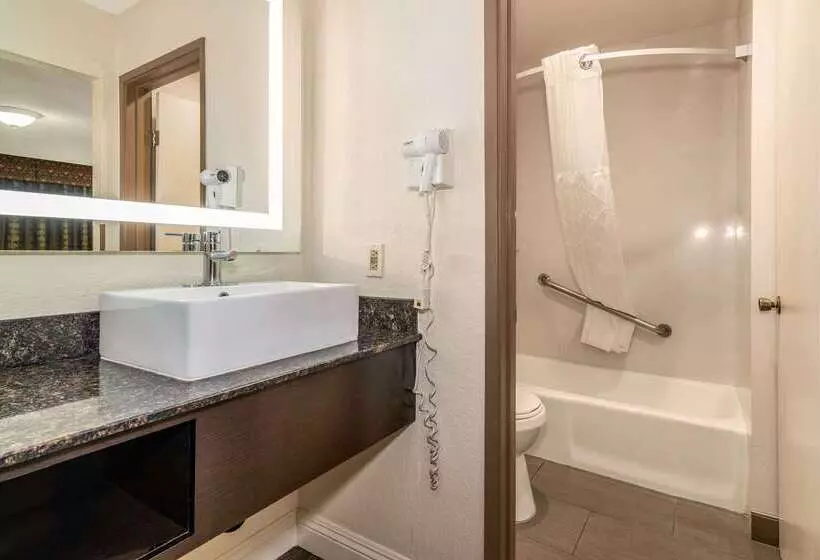 酒店 Rodeway Inn On Historic Route 66