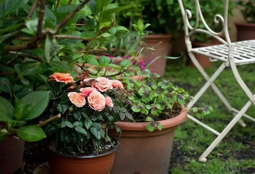 Aamiaismajoitus (B&B) Il Relais Dell'abbazia