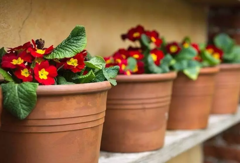 Aamiaismajoitus (B&B) Il Relais Dell'abbazia