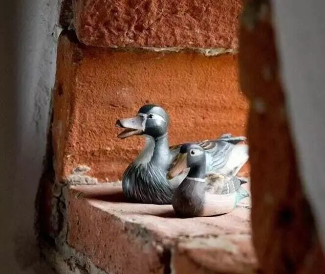 Aamiaismajoitus (B&B) Il Relais Dell'abbazia