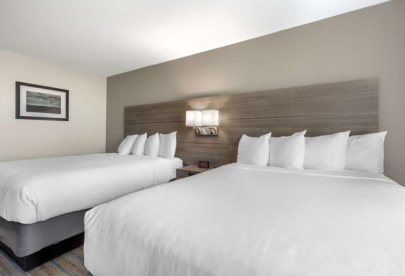 酒店 Best Western Plus Stephenville Inn