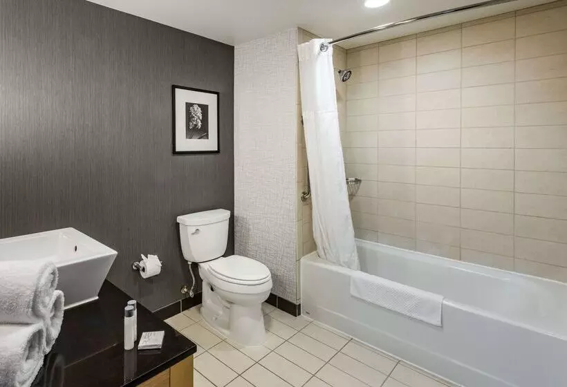 Cambria Hotel Minneapolis Maple Grove