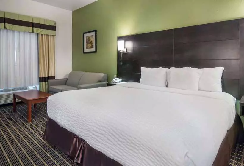 Отель Clarion Inn & Suites Weatherford South