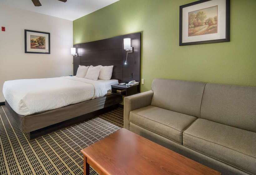 호텔 Clarion Inn & Suites Weatherford South