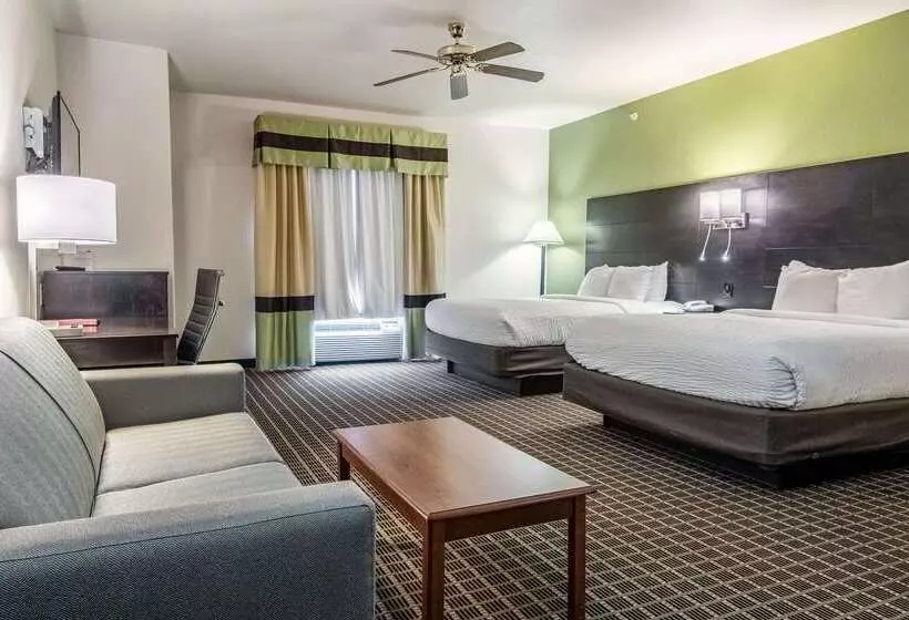 Отель Clarion Inn & Suites Weatherford South