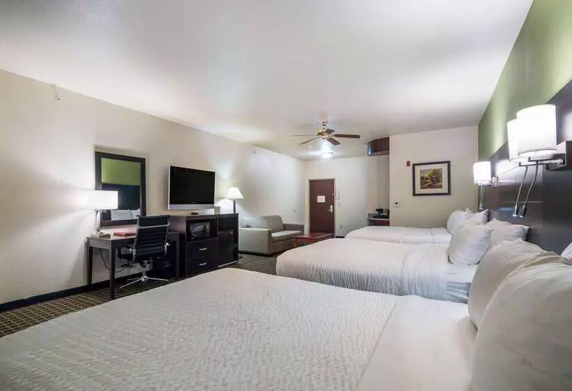Отель Clarion Inn & Suites Weatherford South