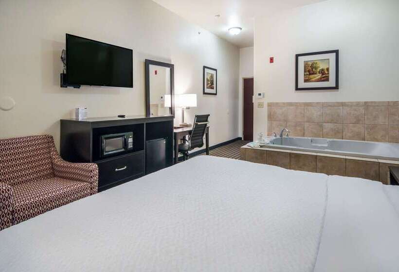 호텔 Clarion Inn & Suites Weatherford South