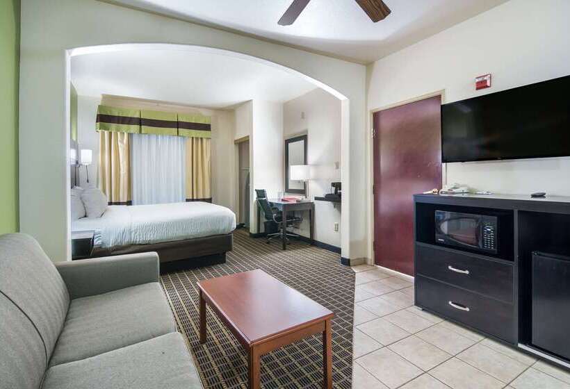 호텔 Clarion Inn & Suites Weatherford South