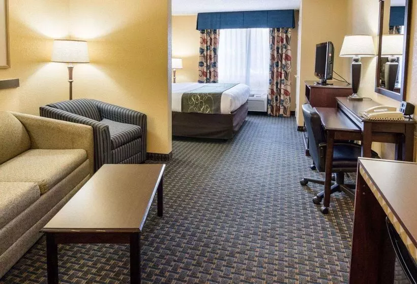 酒店 Comfort Suites Nacogdoches