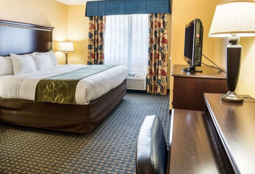 בית מלון כפרי Comfort Suites Nacogdoches