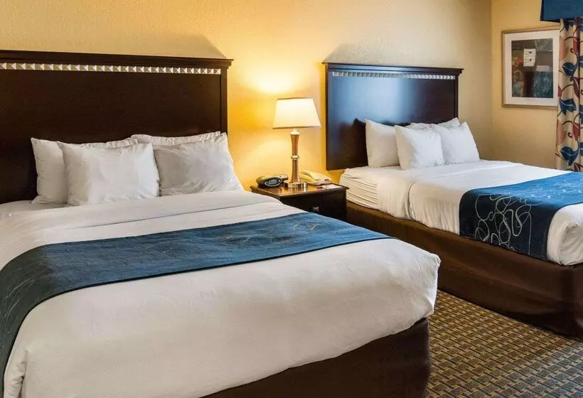 酒店 Comfort Suites Nacogdoches