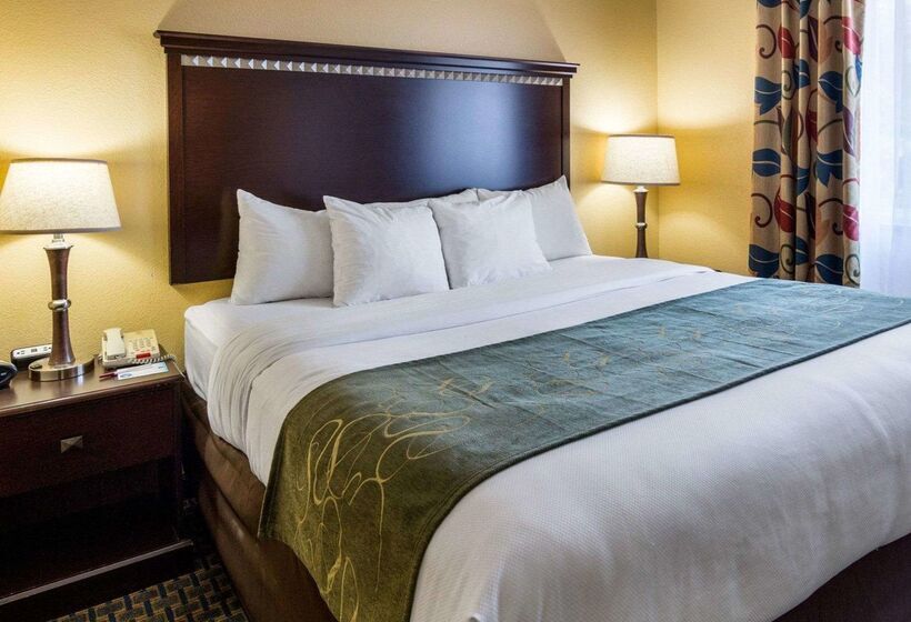 בית מלון כפרי Comfort Suites Nacogdoches