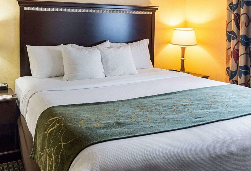 בית מלון כפרי Comfort Suites Nacogdoches