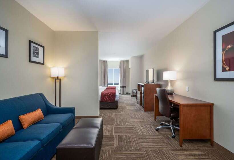 فندق Comfort Suites University