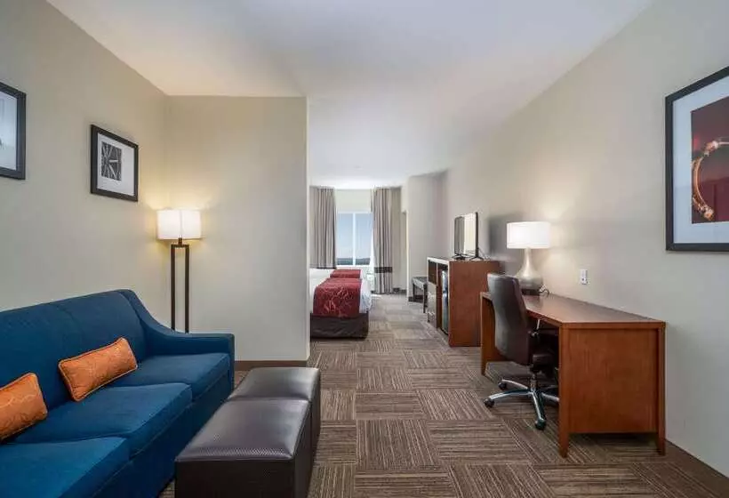 Отель Comfort Suites University
