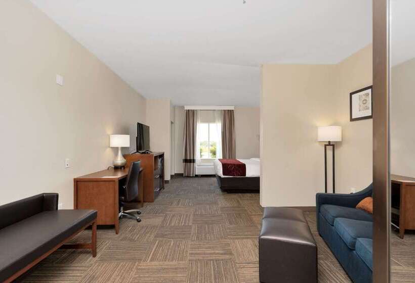 فندق Comfort Suites University