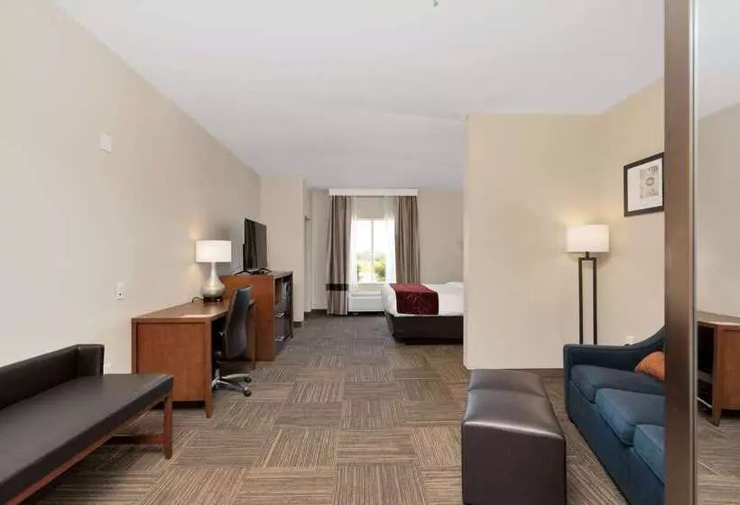 Отель Comfort Suites University