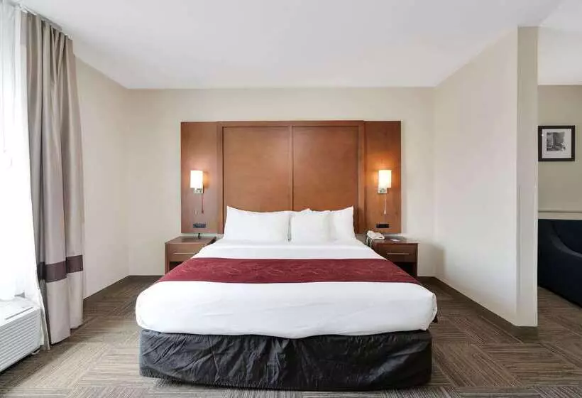 Отель Comfort Suites University