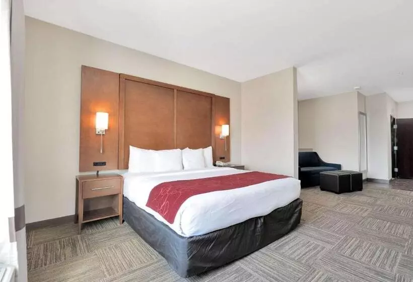 Отель Comfort Suites University