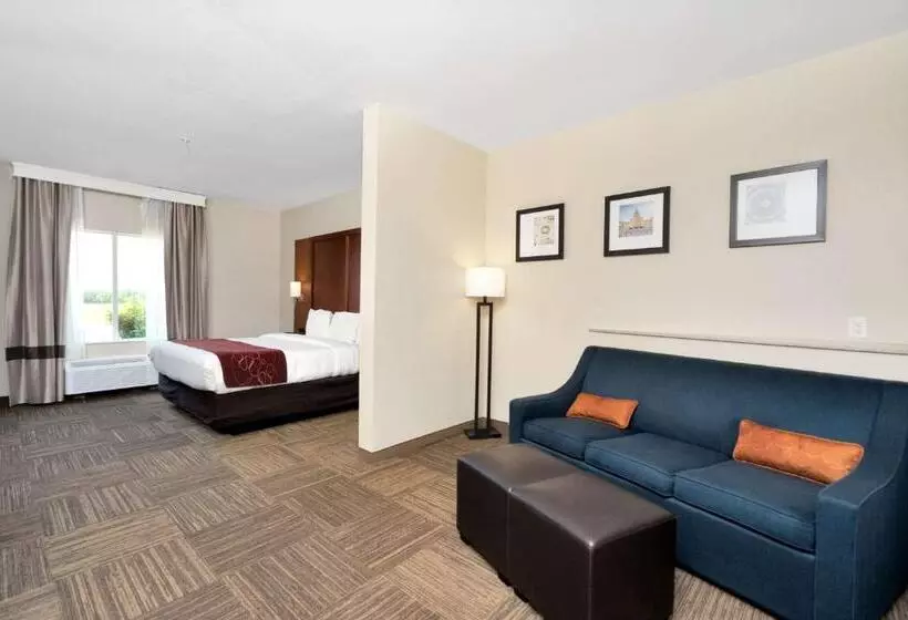 Отель Comfort Suites University