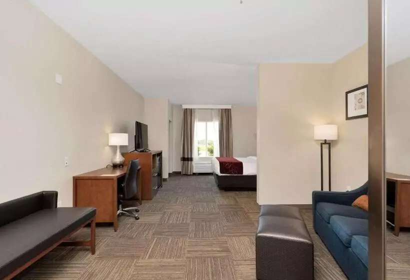 Отель Comfort Suites University