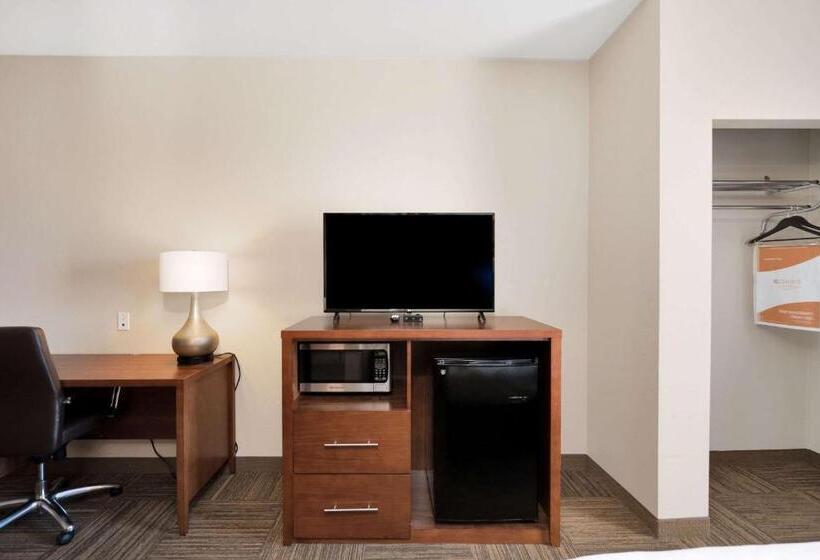 فندق Comfort Suites University