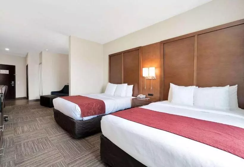 Отель Comfort Suites University