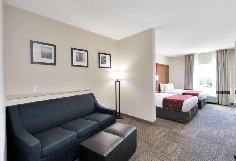 فندق Comfort Suites University